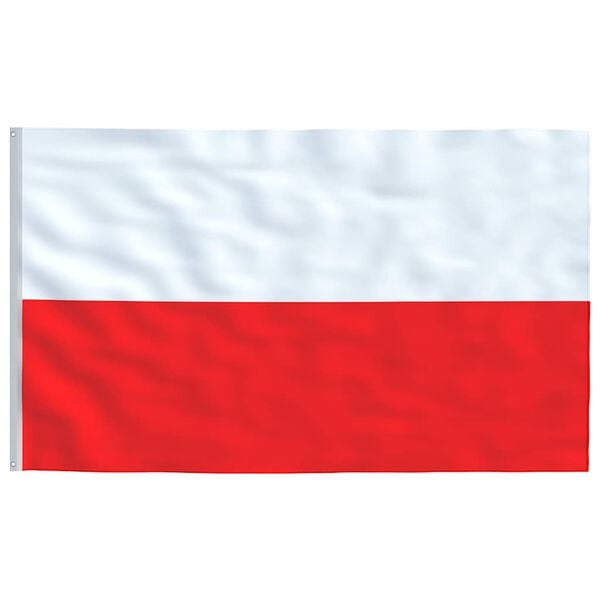 vidaXL Polen flag og flagstang 6,08 m aluminium