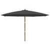 vidaXL haveparasol med tr&aelig;stang 400x273 cm sort