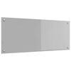 vidaXL K&oslash;kkenbacksplash Lysegr&aring; 100 x 40 cm h&aelig;rdet glas
