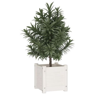 vidaXL plantekasser 2 stk. 31x31x31 cm massivt fyrretræ hvid