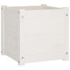 vidaXL plantekasser 2 stk. 40x40x40 cm massivt fyrretræ hvid