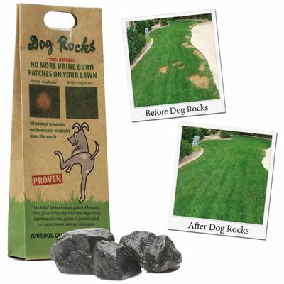 Dog Rocks afhjælpning af visne pletter pga. hundeurin i græsplænen
