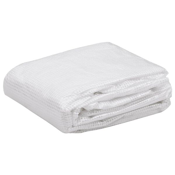 vidaXL overtræk til drivhus (4,5 m²) 3x1,5x2 m transparent