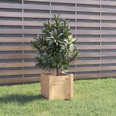 vidaXL plantekasser 2 stk. 31x31x31 cm massivt fyrretræ