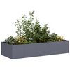 vidaXL plantekasse 200x80x40 cm st&aring;l antracitgr&aring;