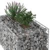 vidaXL Gabion h&oslash;jbed S&oslash;lv 100 x 60 x 55 cm Galvaniseret st&aring;l