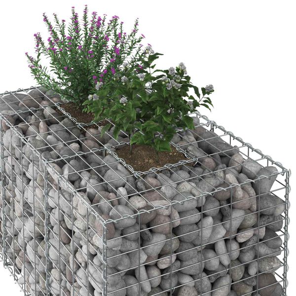 vidaXL Gabion h&oslash;jbed S&oslash;lv 100 x 60 x 55 cm Galvaniseret st&aring;l
