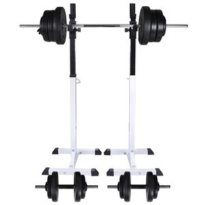 vidaXL v&aelig;gtstang- og squat-stativ med v&aelig;gtstang- og h&aring;ndv&aelig;gts&aelig;t 60,5kg