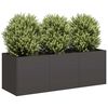 vidaXL plantekasse sort 120x40x40 cm koldvalset st&aring;l