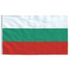 vidaXL Bulgarien flag og flagstang 6,23 m aluminium