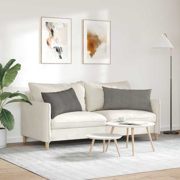 vidaXL Sofapuder 2 pcs Lysegrå 80 x 40 cm Velourstof