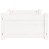 vidaXL hundeseng hvid 65,5x50,5x28 cm massivt fyrretræ