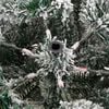 Produktminiaturebillede 13 af 17
