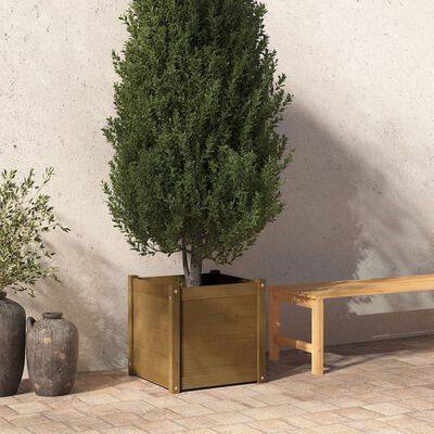vidaXL plantekasse 50x50x50 cm massivt fyrretræ gyldenbrun