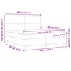 vidaXL Box spring seng Lys Gr&aring; og Hvid 200 x 200 cm Velourstof