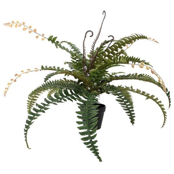 Viser produktbillede 1 af 6