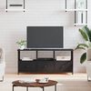 vidaXL tv-bord 102x33x45 cm konstrueret tr&aelig; og jern sort