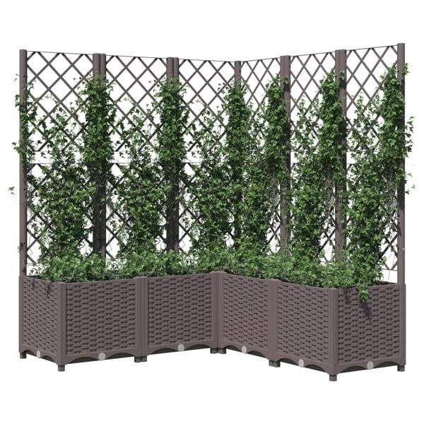 vidaXL plantekasse med espalier 120x120x136 cm PP brun