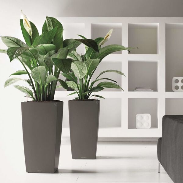 LECHUZA plantekrukke CUBE 30 ALL-IN-ONE sort 18184