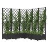 vidaXL plantekasse med espalier 120x120x121,5 cm PP sort