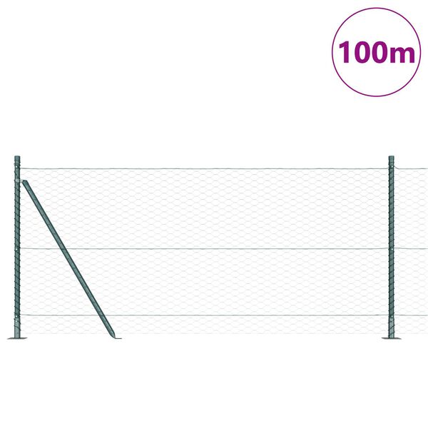 vidaXL Hegnsp&aelig;l Gr&oslash;n 100 x 0,8 m (36 mm net) St&aring;l og PVC