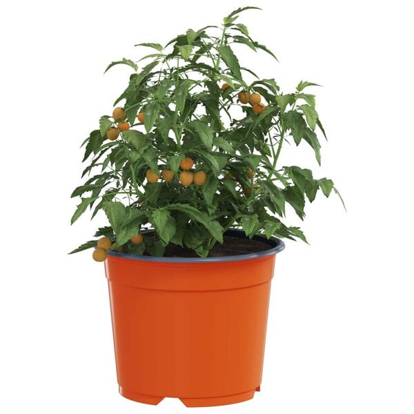 Viser produktbillede 3 af 11