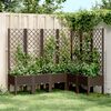 vidaXL plantekasse med espalier 160x120x142 cm PP brun