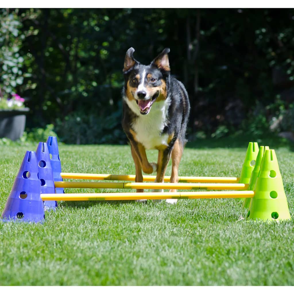 FitPAWS agility-sæt til hunde Canine Gym