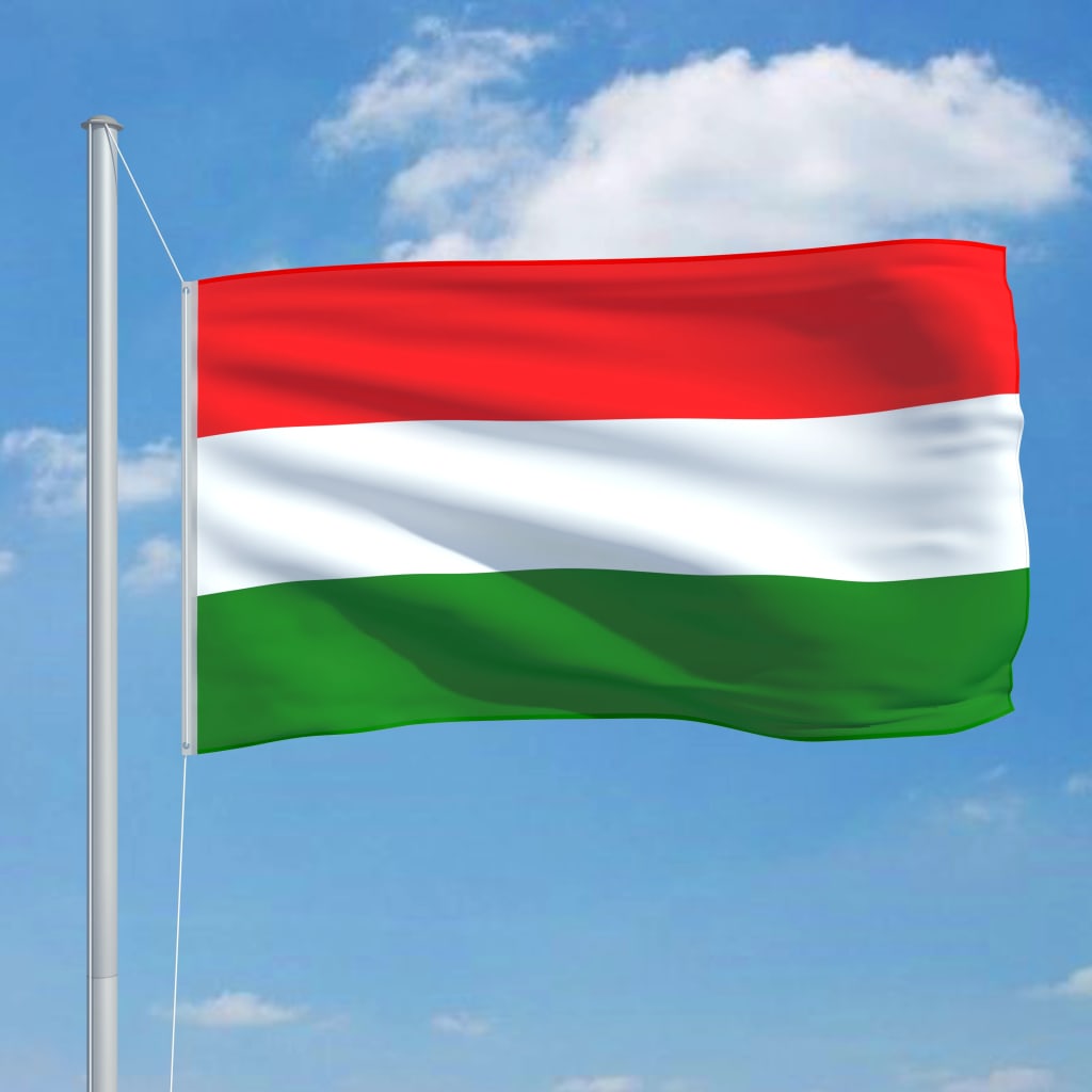 vidaXL Ungarns flag og flagstang 6,2 m aluminium