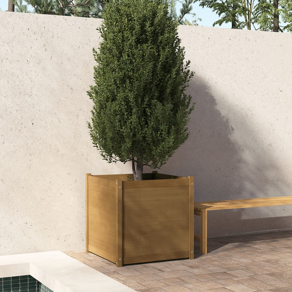 vidaXL plantekasse 70x70x70 cm massivt fyrretræ gyldenbrun