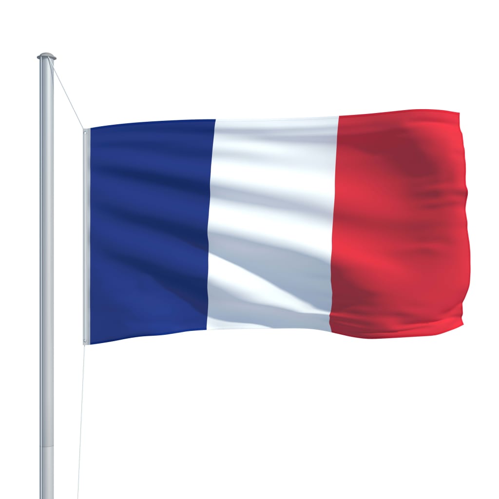 vidaXL fransk flag og flagstang 6,2 m aluminium