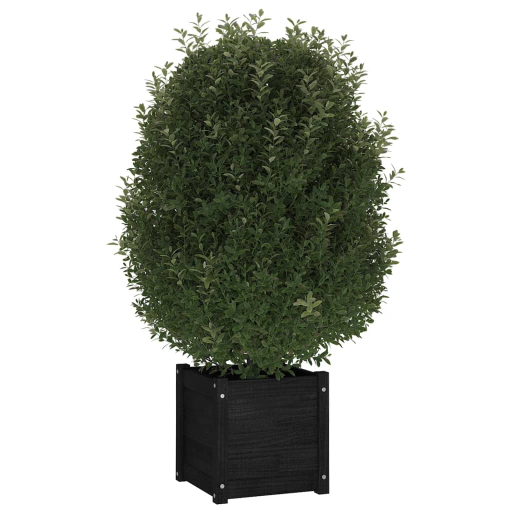 vidaXL plantekasse 40x40x40 cm massivt fyrretræ sort