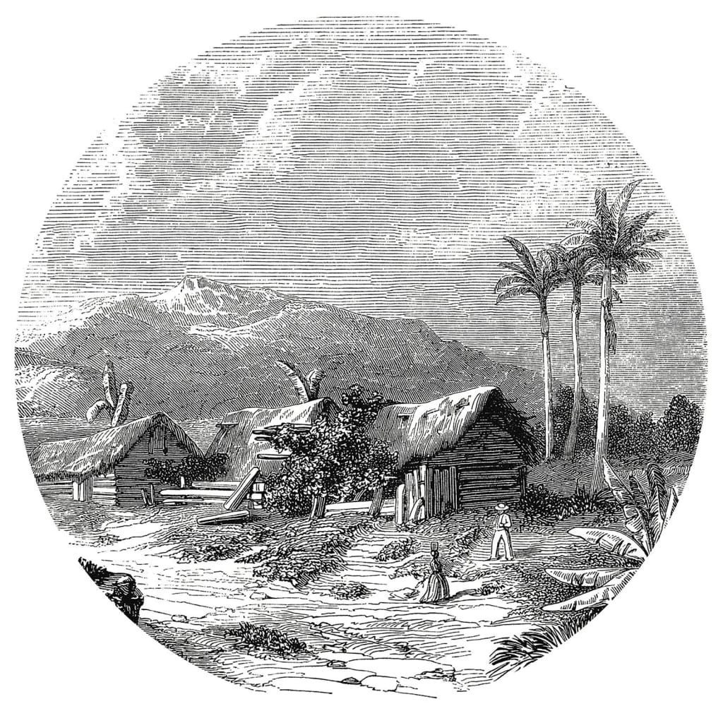 WallArt tapetcirkel Landscape of Guadeloupe 142,5 cm