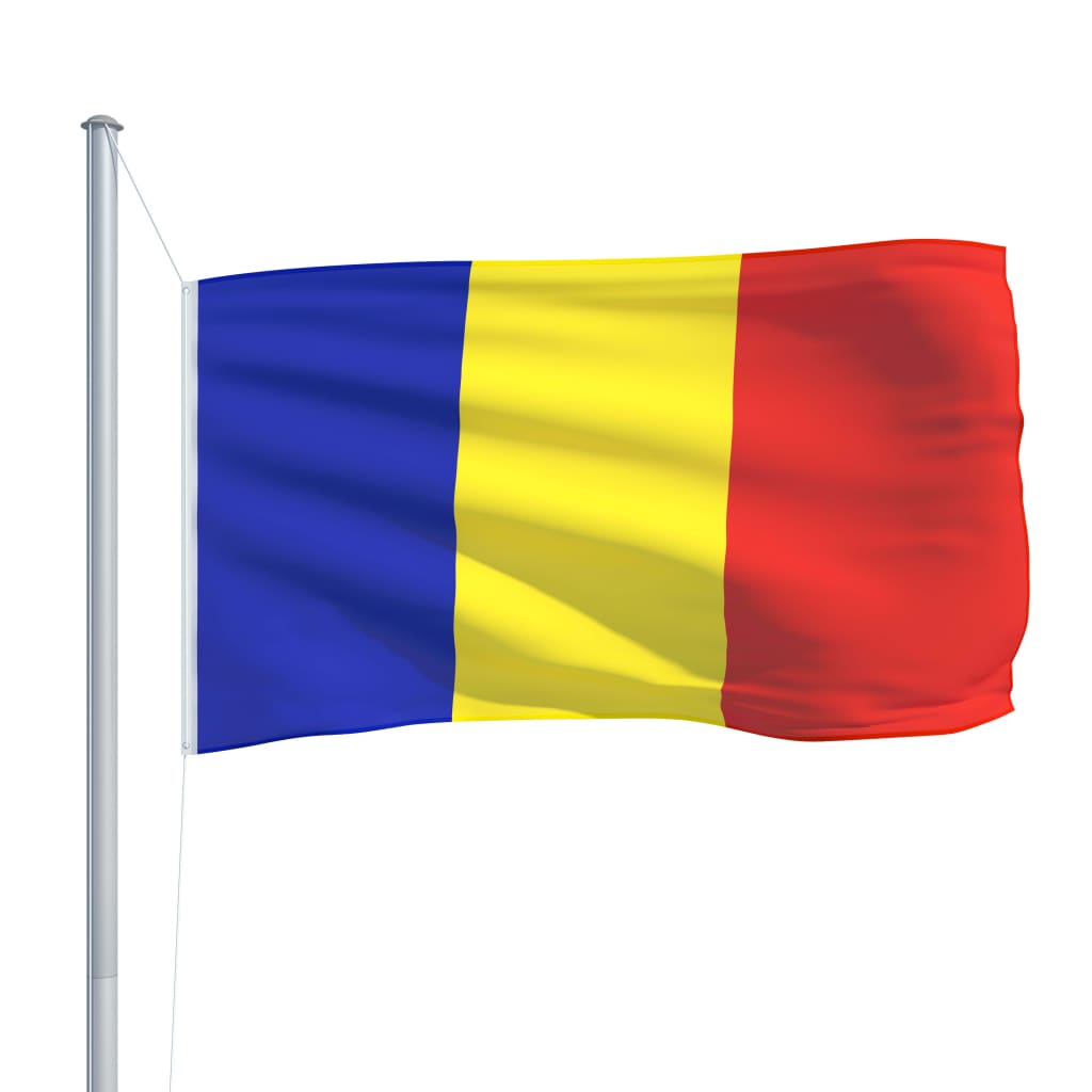 vidaXL Rumænien flag og flagstang 6,2 m aluminium