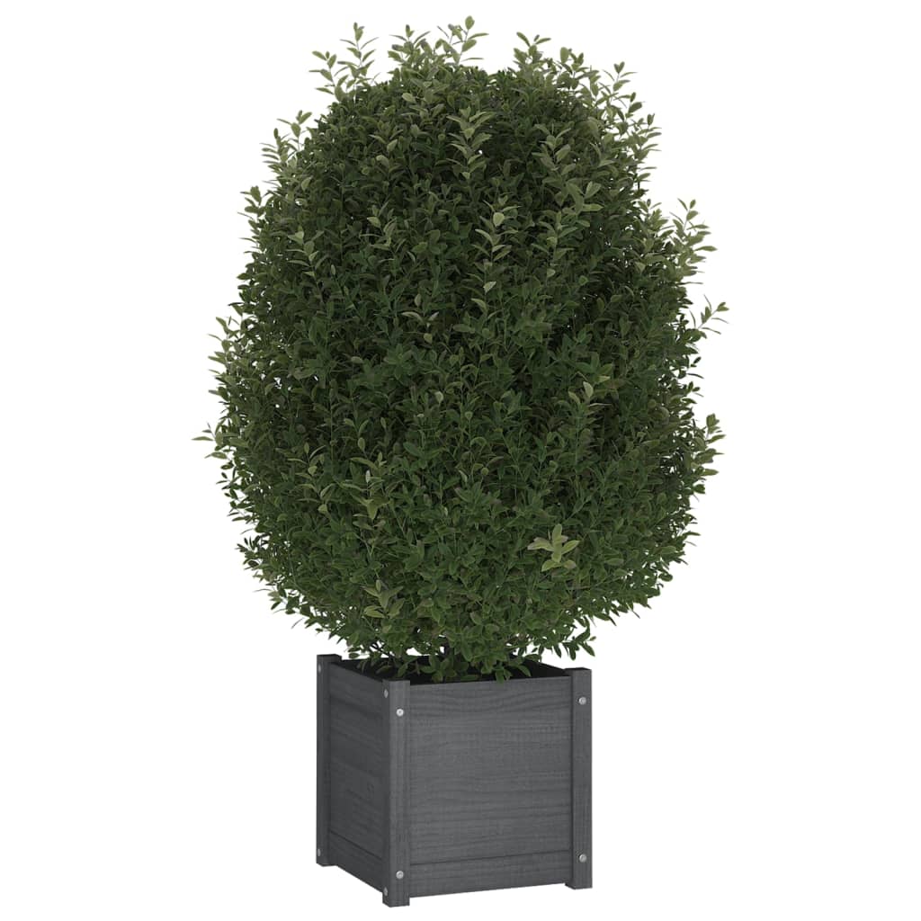 vidaXL plantekasse 40x40x40 cm massivt fyrretræ grå