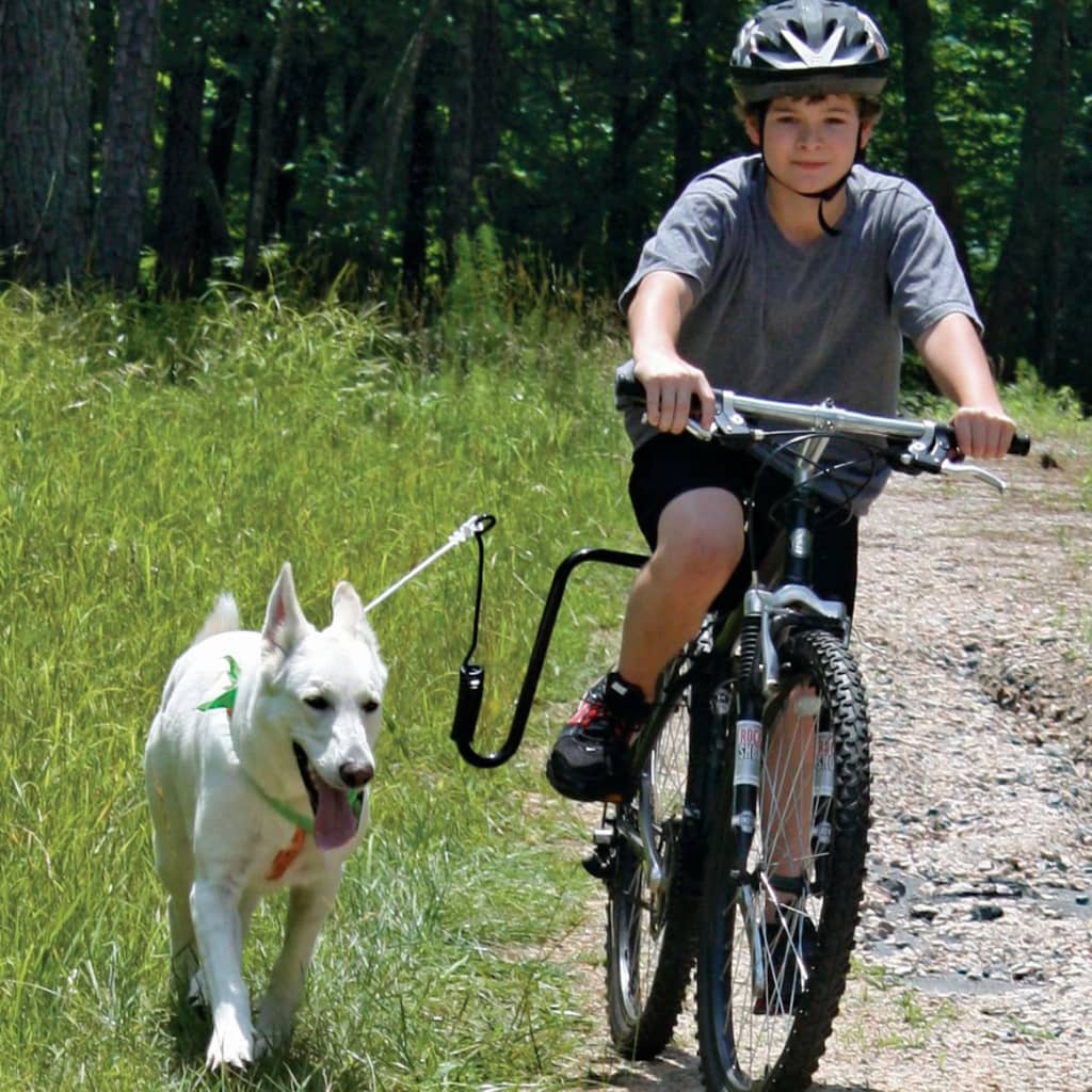 SPRINGER sæt til cykeltræning med hund