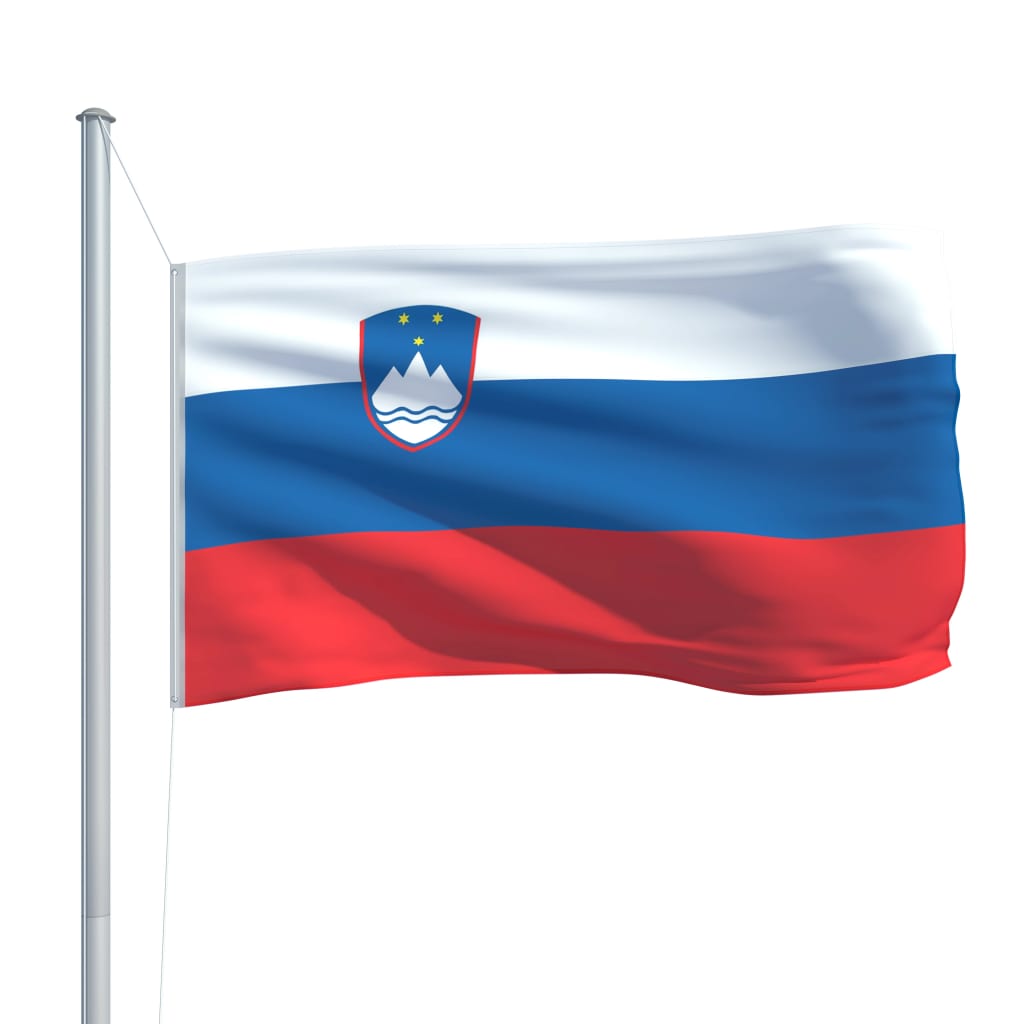 vidaXL Sloveniens flag og flagstang 6,2 m aluminium
