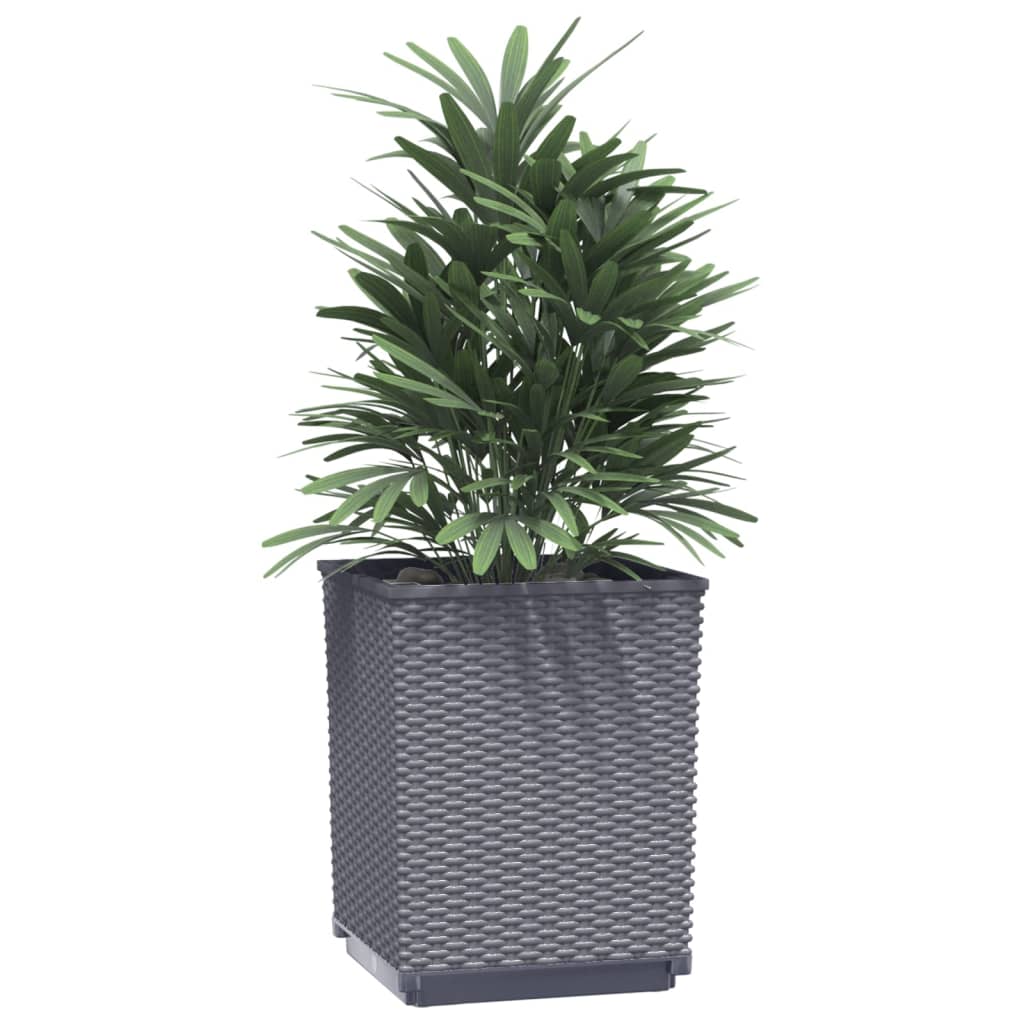vidaXL plantekasser 4 stk. 30x30x37 cm polypropylen mørkegrå