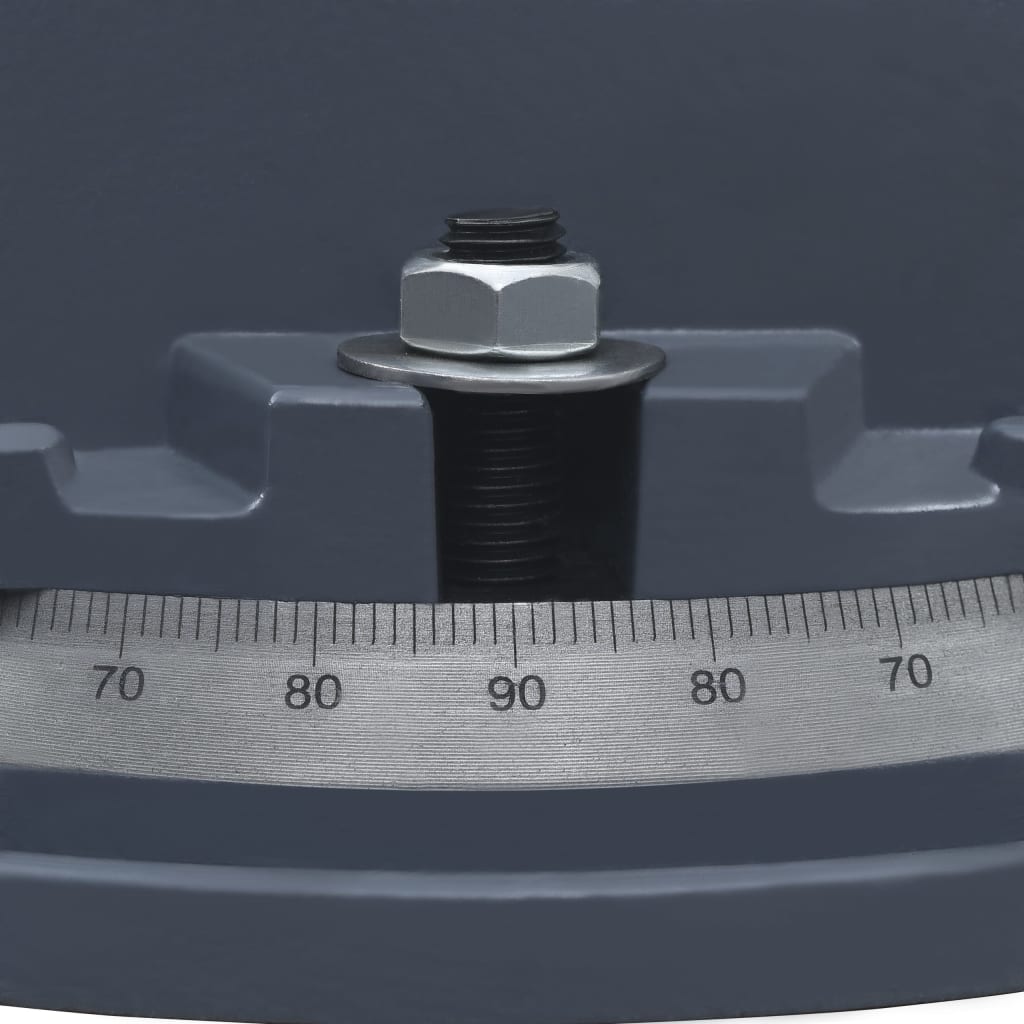 vidaXL skruestik på drejeplade støbejern 160 mm