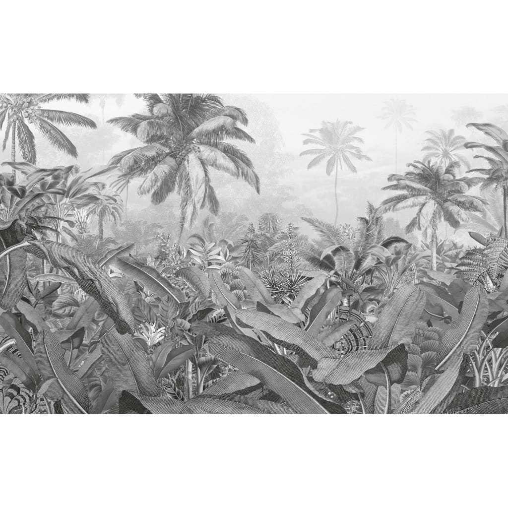 Komar fototapet Amazonia 400x250 cm sort og hvid