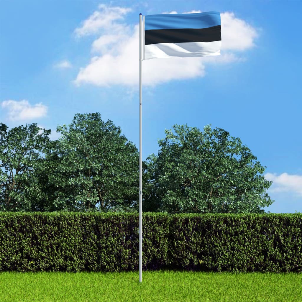 vidaXL Estlands flag og flagstang 6 m aluminium