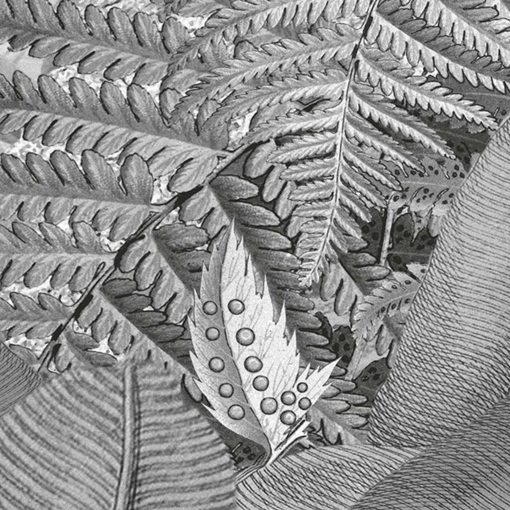 Komar fototapet Amazonia 400x250 cm sort og hvid