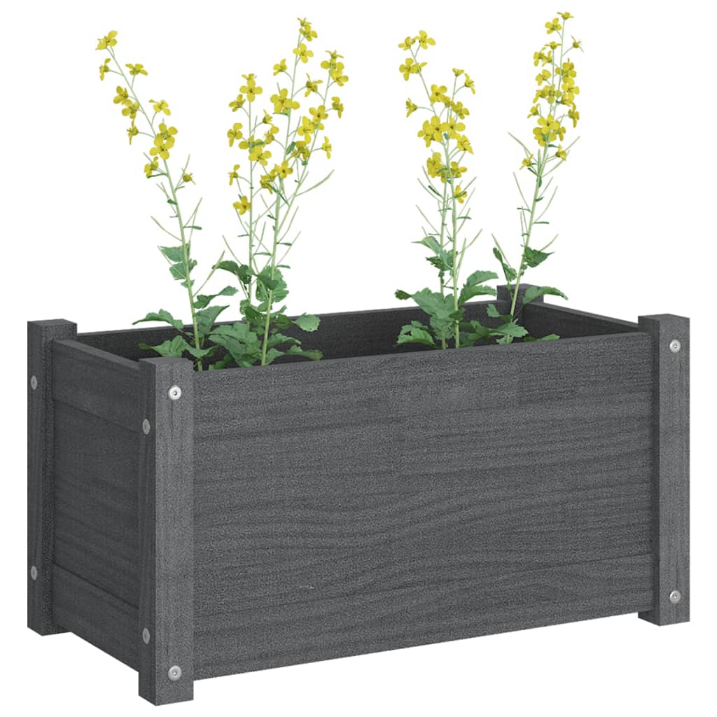 vidaXL plantekasser 2 stk. 60x31x31 cm massivt fyrretræ grå