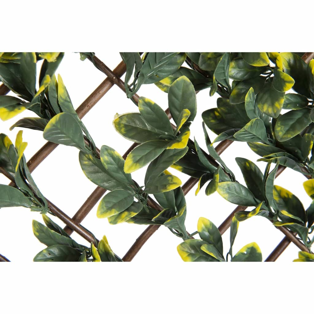 Nature Garden espalier med haveliguster 90x180 cm grønne og gule blade