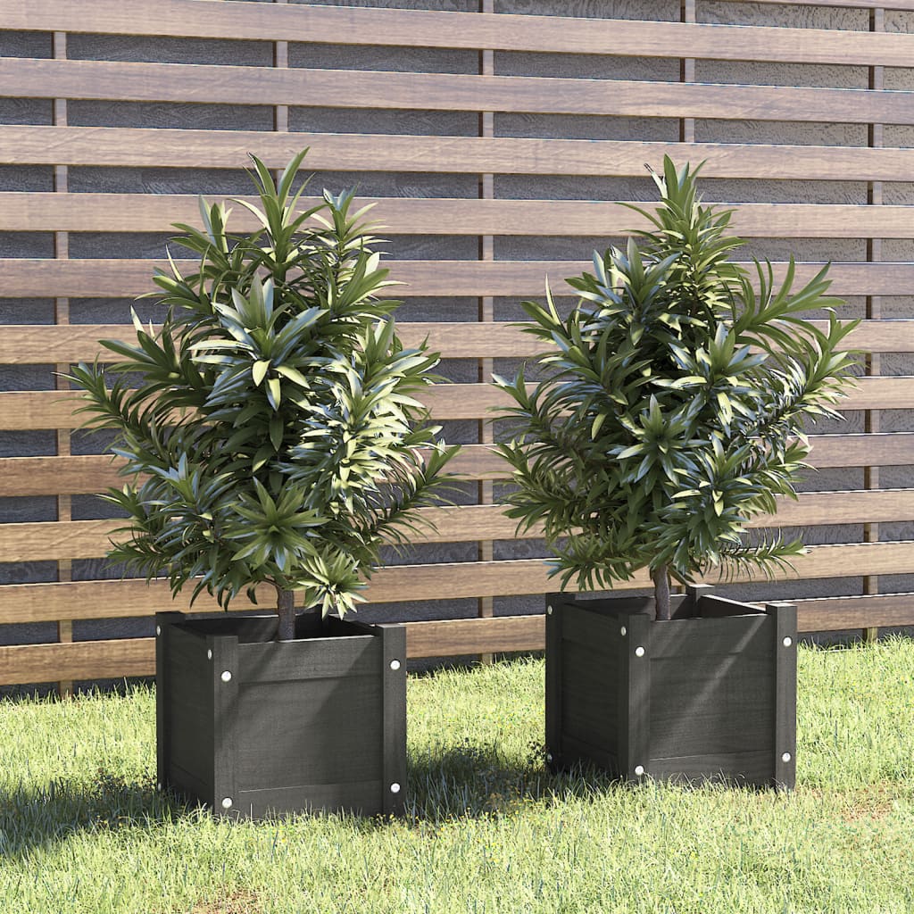 vidaXL plantekasser 2 stk. 31x31x31 cm massivt fyrretræ grå