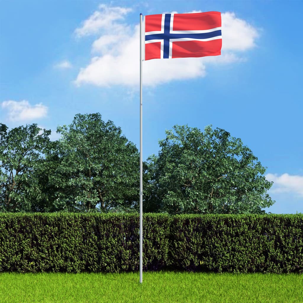 vidaXL Norges flag og flagstang 6 m aluminium