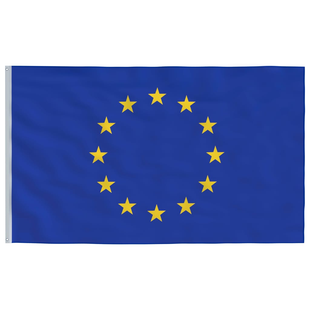 vidaXL Europaflag 90x150 cm