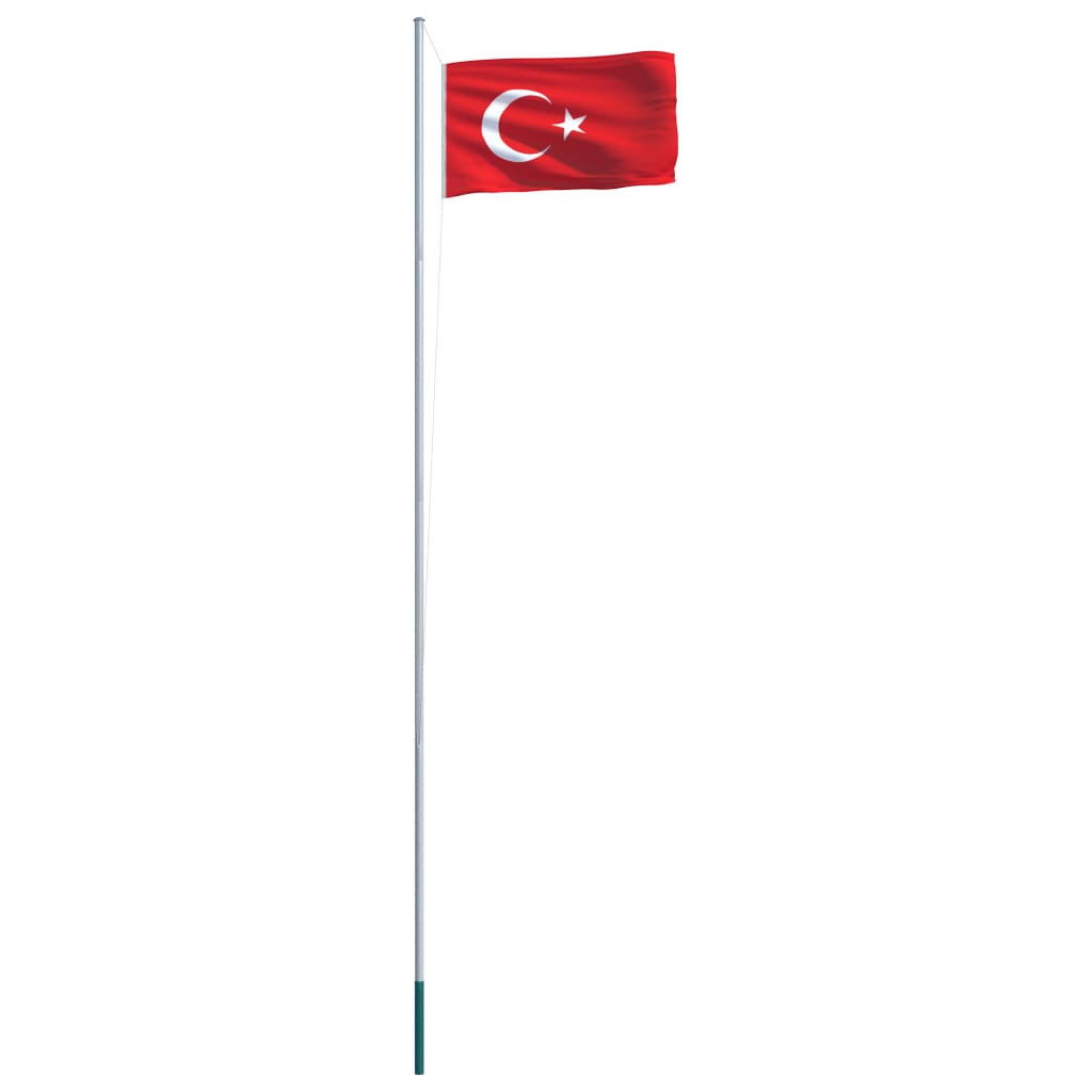 vidaXL Tyrkiets flag og flagstang 6,2 m aluminium