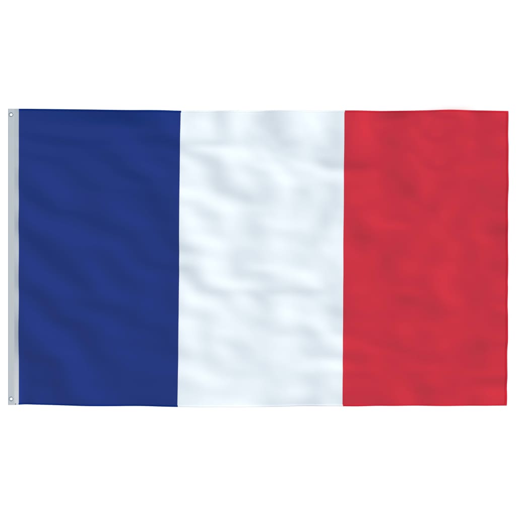 vidaXL Frankrigs flag og flagstang 6 m aluminium