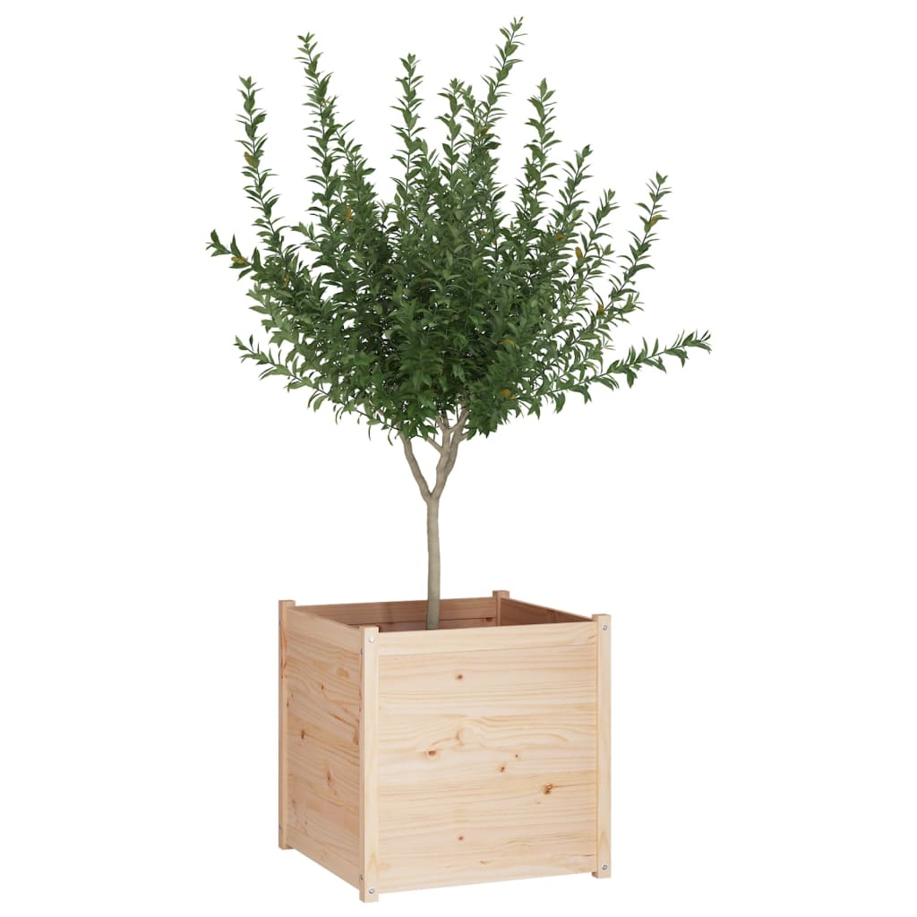 vidaXL plantekasse 70x70x70 cm massivt fyrretræ